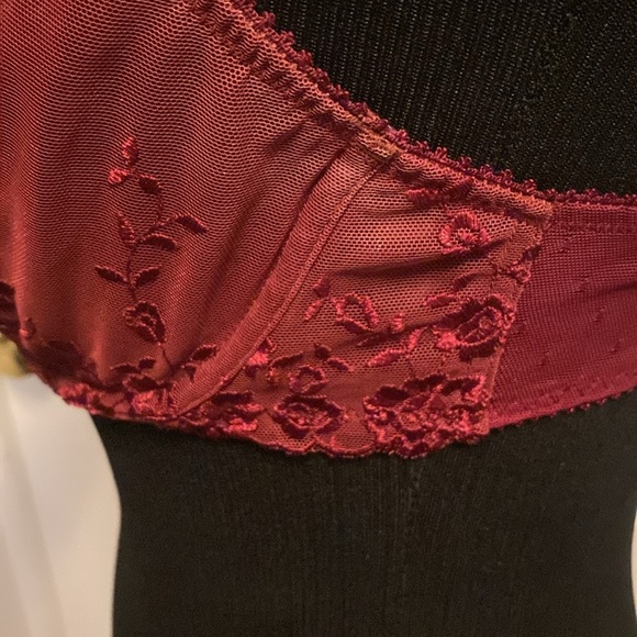 Apt. 9 Sexy Wine Color See Thru Lace Bra Sz 36C NWOT - Picture 4 of 6